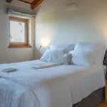 Danica 4*