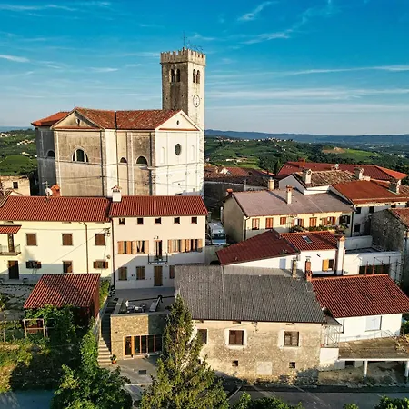 Danica שמארטנו