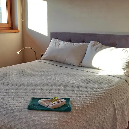 Aparthotel Danica Smartno