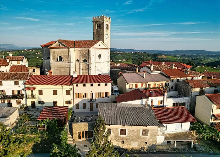 Danica שמארטנו