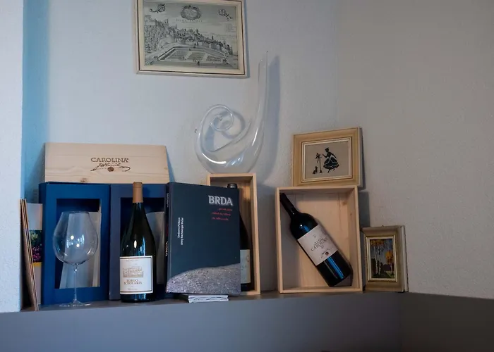 Danica 아파트호텔 4*