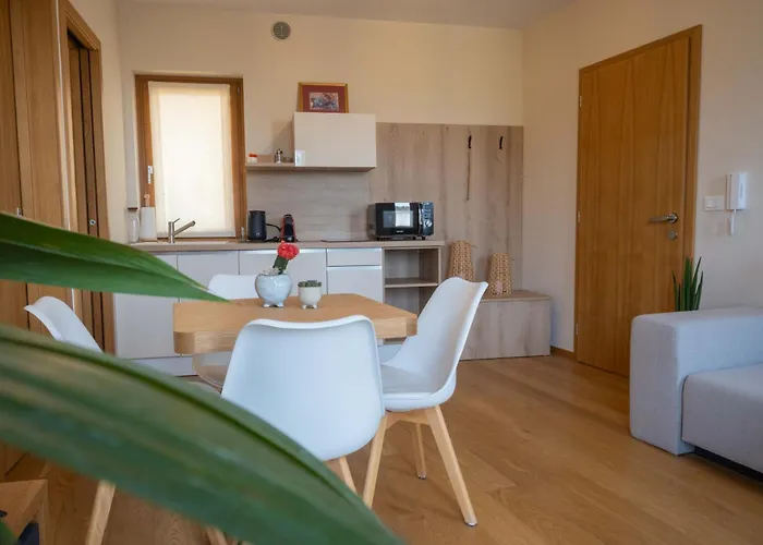 Danica מלון דירות